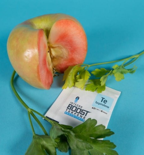 integra boost terpene terpinolen.jpeg