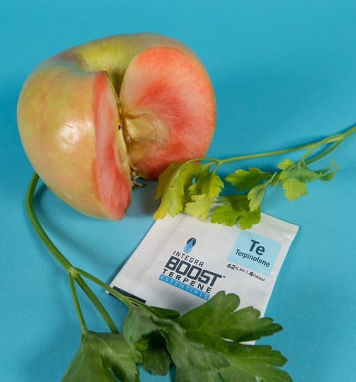 integra boost terpene terpinolen.jpeg