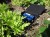 autopot straight aquavalve irrigation system .jpeg