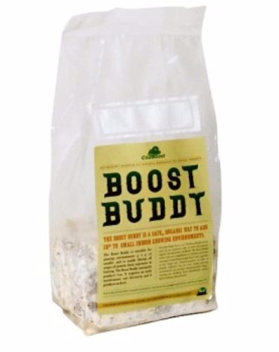 boost budd.jpg