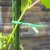 pol_pm_Herbgarden-Garden-Tie-Straight-Pre-cut-Zielony-drut-ogrodniczy-25cm-100szt-6279_3.jpg