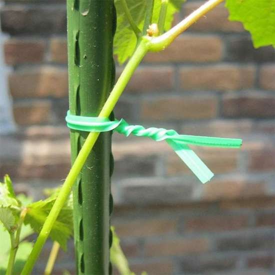pol_pm_Herbgarden-Garden-Tie-Straight-Pre-cut-Zielony-drut-ogrodniczy-25cm-100szt-6279_3.jpg