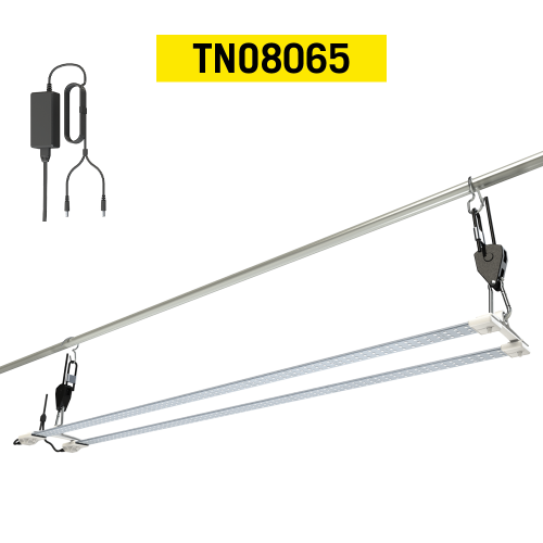 TNO8065.png