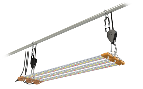 Lampa LED Cosmorrow 60W Full Spectrum wzrost i kwitnienie Secret Jardin