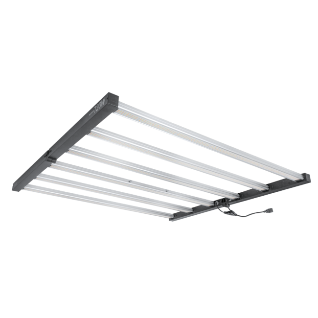 Lumii Black 720W komplet z zasilaczem Horti Eco