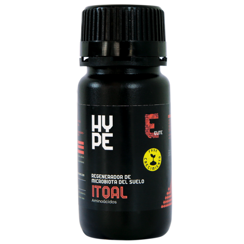 HYPE0189-00.png