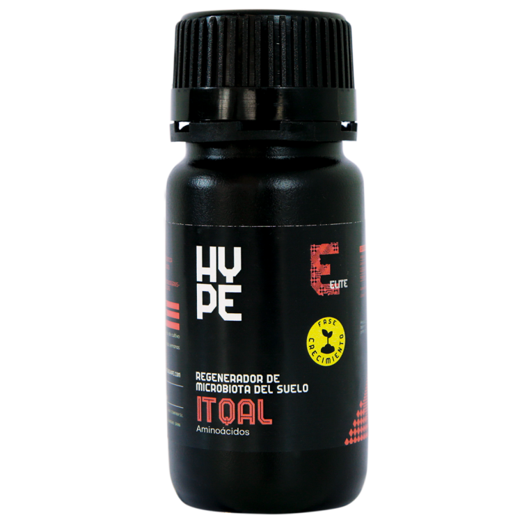 HYPE0189-00.png