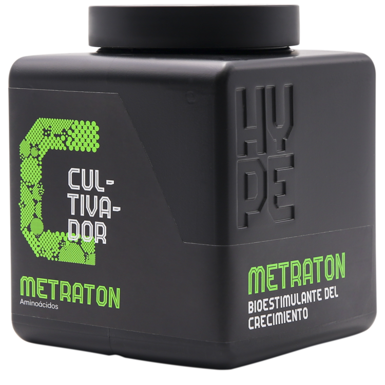 metraton hype company.png