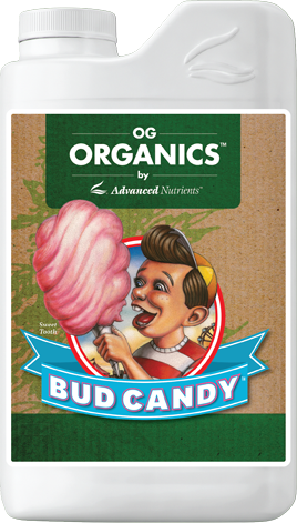 Advanced Nutrients OG Organics Bud Candy nawóz organiczny poprawia smak i zapach