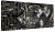 Grow The Jungle The Jackson NEMESIS 250W Lampa LED