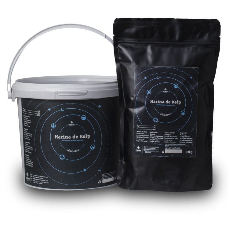Lurpe Harina de Kelp 1 kg torebka i wiaderko mączki z alg Ascophyllum nodosum