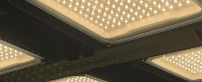 Perfand Led Lampa pulsacyjna Horti 2 SQ