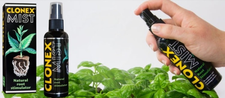 Clonex Mist Spray
