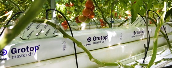 grotop master grodan