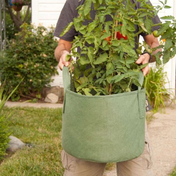 root pouch doniczka