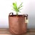 root pouch brazowa