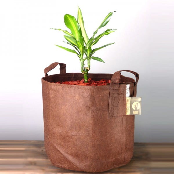 root pouch brazowa