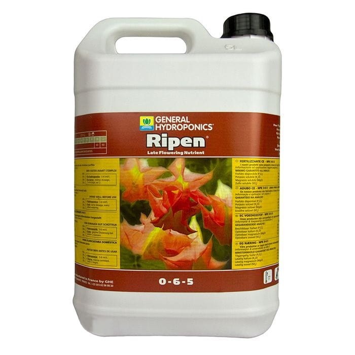 GHE Ripen.jpg