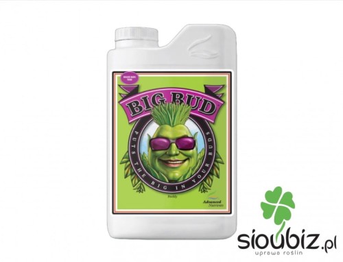 Big Bud.JPG