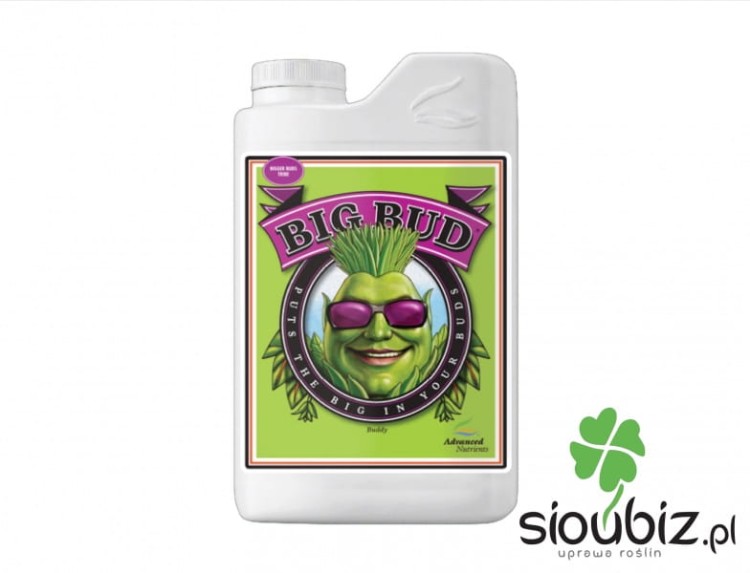 Big Bud.JPG