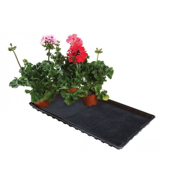 21a-w0082-water-gravel-tray-with-plants_10.jpg