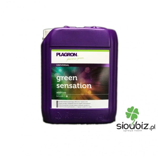 green sensation plagron.jpg