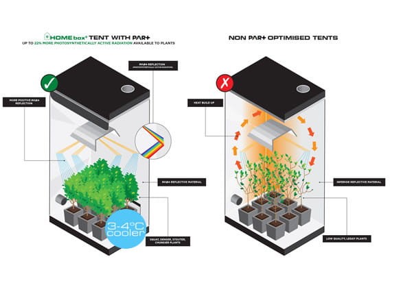 tent with par + homebox.jpg