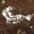 bactosmoz soil