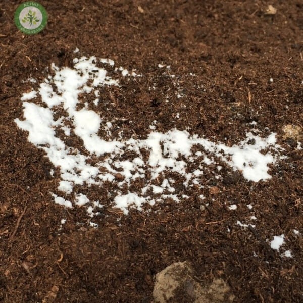 bactosmoz soil