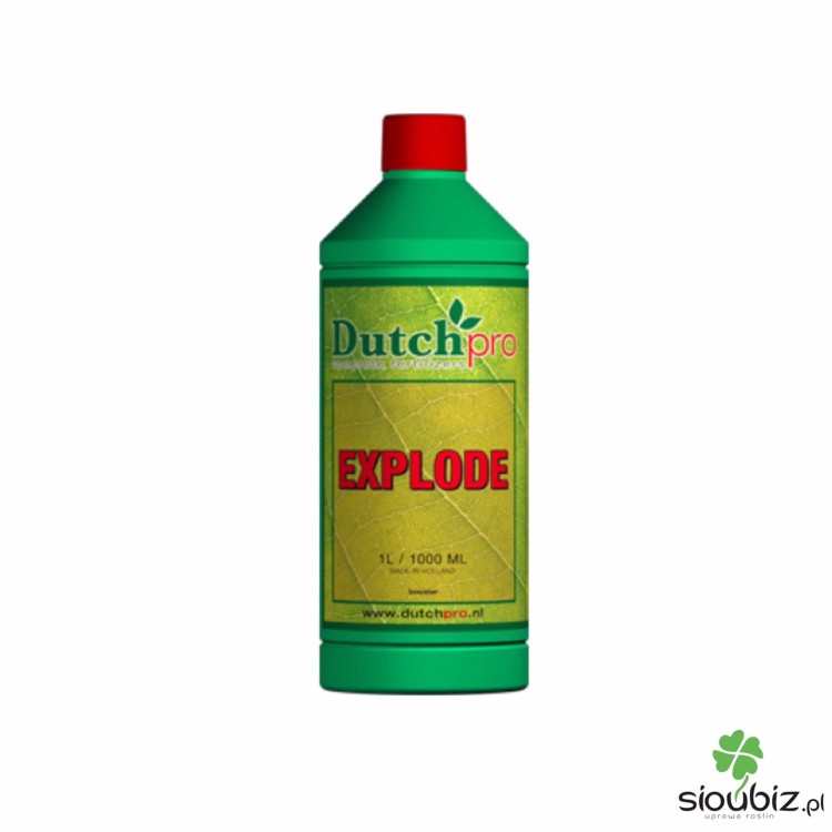 explode dutch pro.jpeg