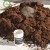 biosmoz soil