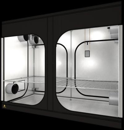 secret jardin dark room 300w