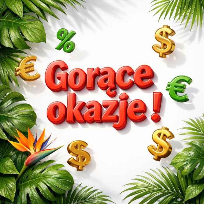 PROMOCJE