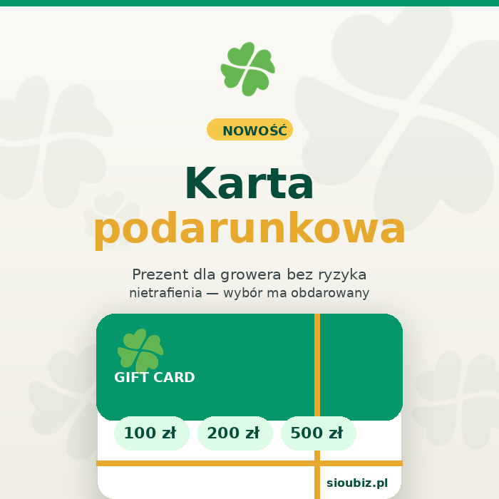 Karta podarunkowa prezent urodziny cyfrowa Sioubiz