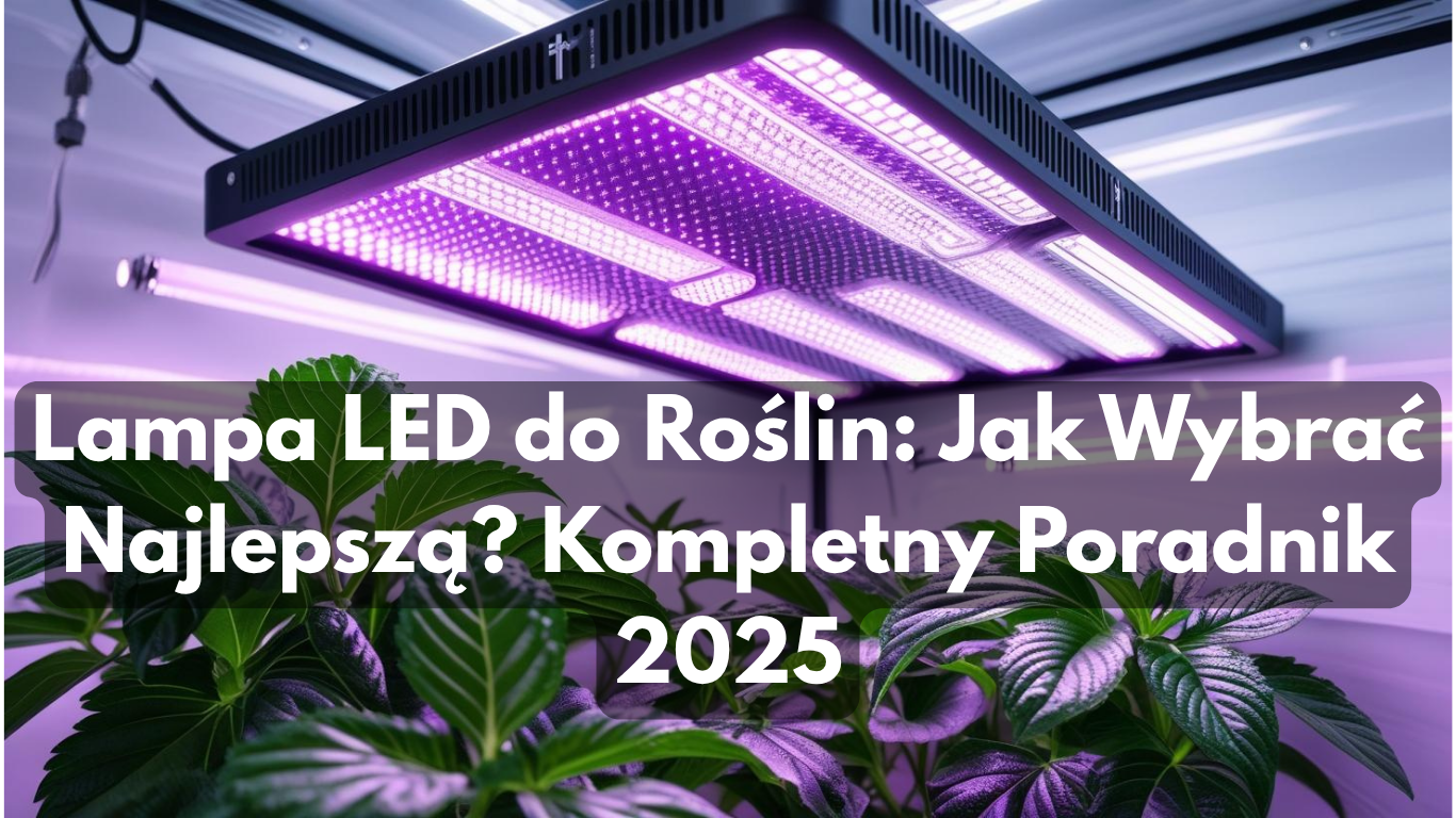 Lampa LED do Roślin: Jak Wybrać Najlepszą? Kompletny Poradnik 2025