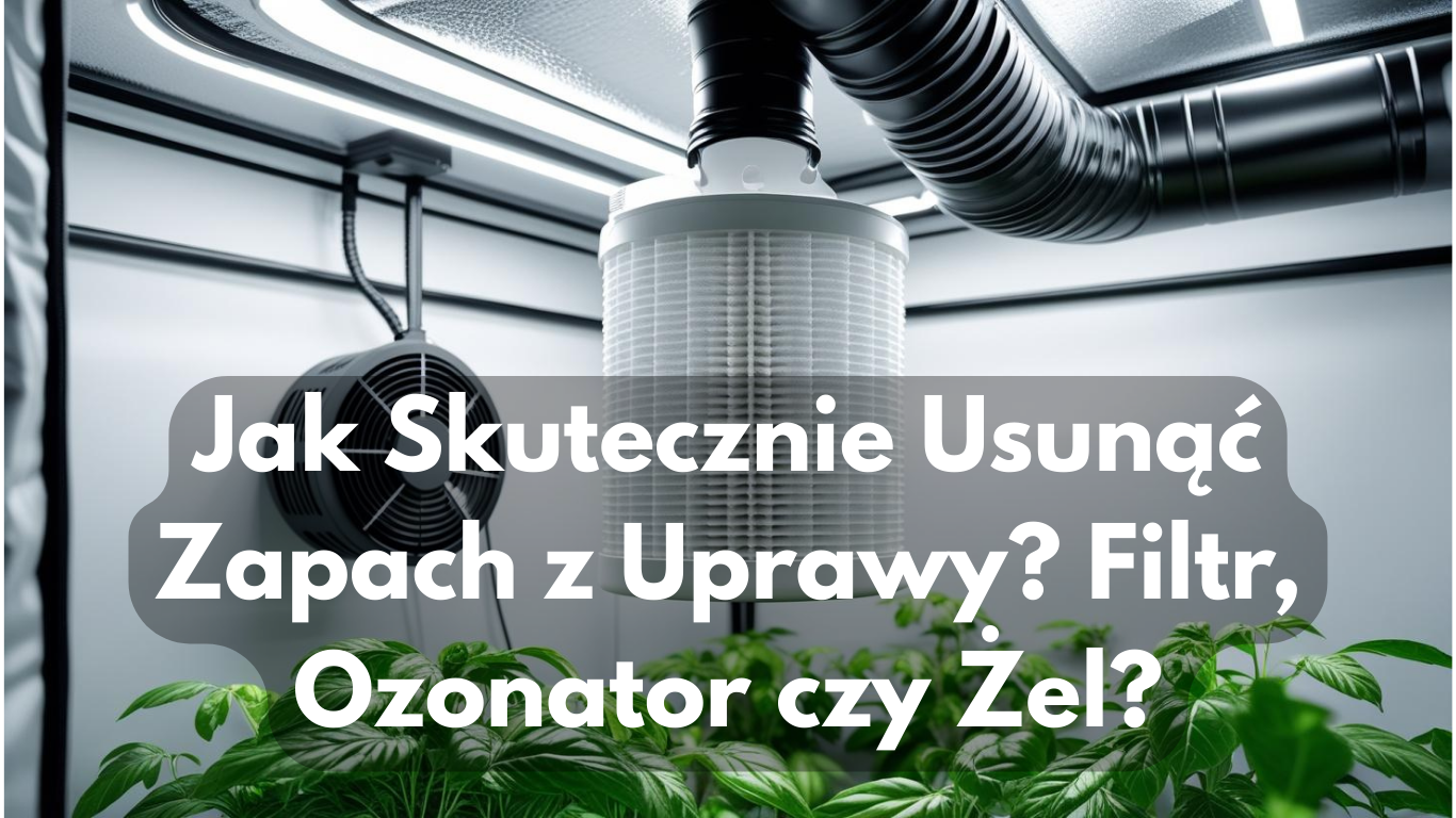 Jak Skutecznie Usunąć Zapach z Uprawy? Filtr Ozonator czy Żel?