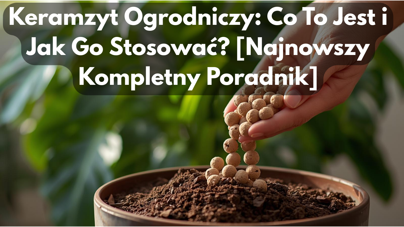 Keramzyt Ogrodniczy: Co To Jest i Jak Go Stosować? [Najnowszy Kompletny Poradnik]