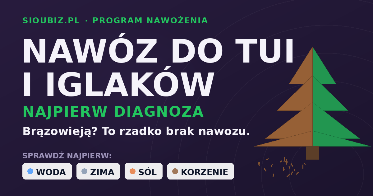 Nawóz do tui i iglaków - program pielęgnacji i dlaczego brązowieją