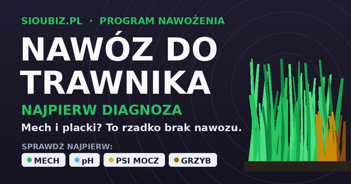 Nawóz do trawy i trawnika - najpierw zmierz, potem karm