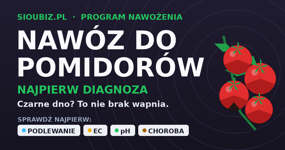Nawóz do pomidorów - program NPK i dlaczego sucha zgnilizna to nie brak wapnia