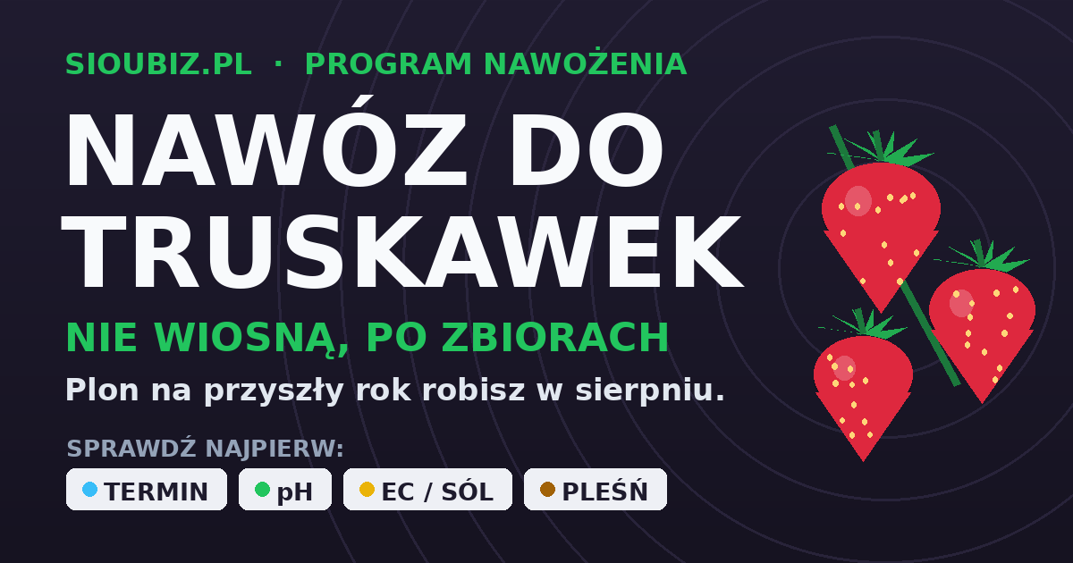 Nawóz do truskawek - dlaczego wiosną nie nawozisz, tylko po zbiorach