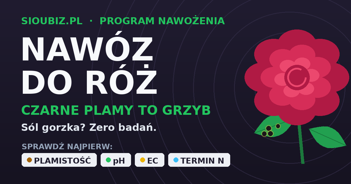 Nawóz do róż - kiedy pomaga, a kiedy problemem jest czarna plamistość