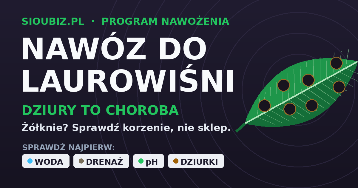 Nawóz do laurowiśni - dlaczego żółknięcie i dziury w liściach to rzadko brak nawozu