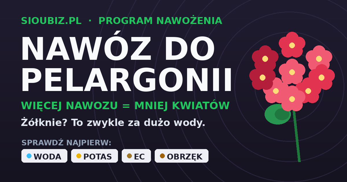 Nawóz do pelargonii - dlaczego przenawożona pelargonia nie kwitnie
