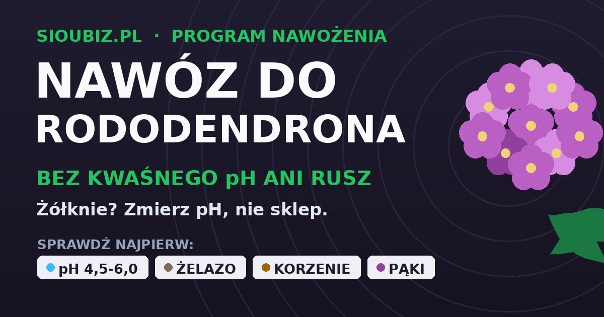 Nawóz do rododendrona - dlaczego bez właściwego pH żaden nie zadziała